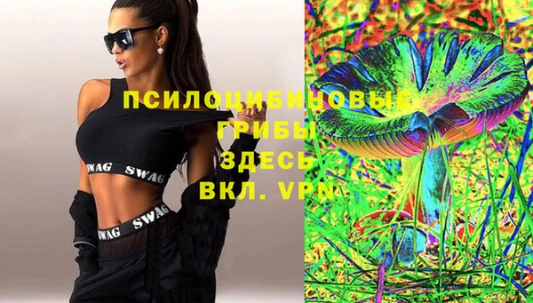 спиды Зеленокумск